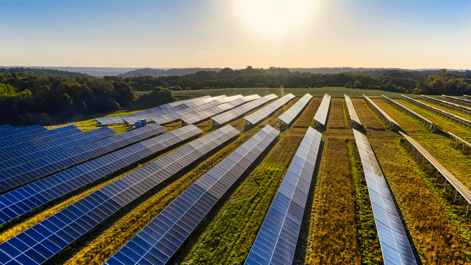 Paneles solares en un campo