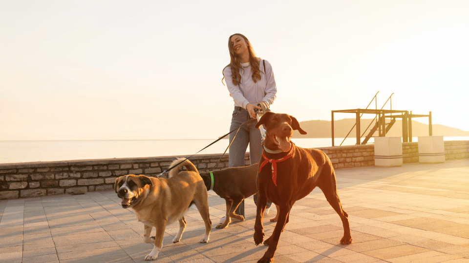 A woman business owner walking two dogs at the beach