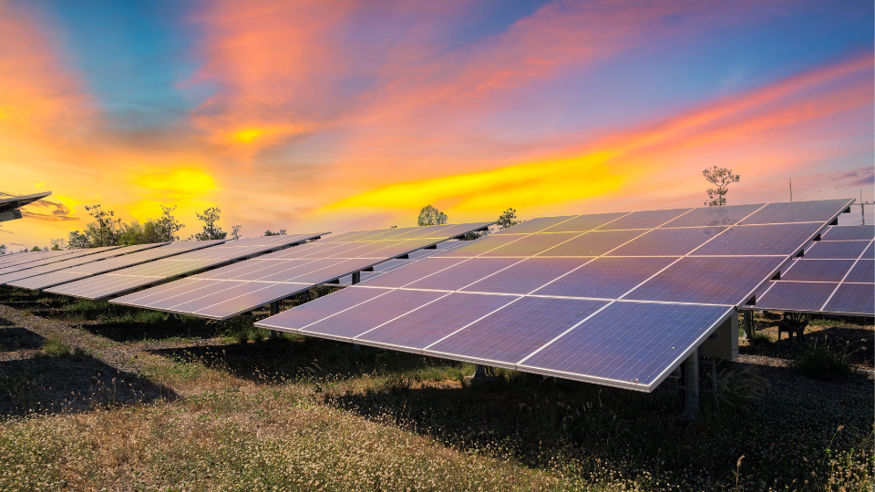 Una granja solar también conocida como central fotovoltaica.